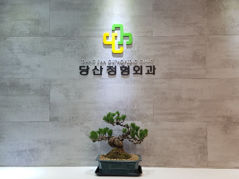 영등포구 양평1동 정형외과 추천 TOP 5