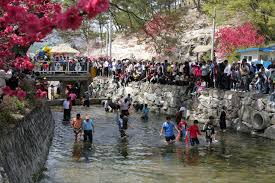 금산 홍도마을 제 14화 축제 기본일정과 특징 소개 