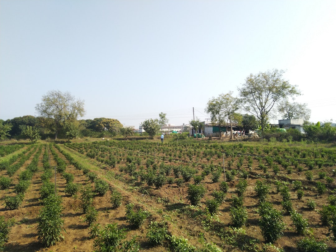 SmartFarm