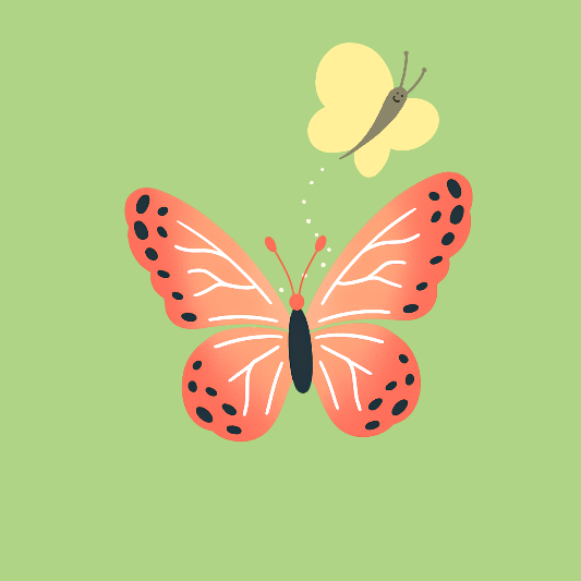 함평-나비-대축제