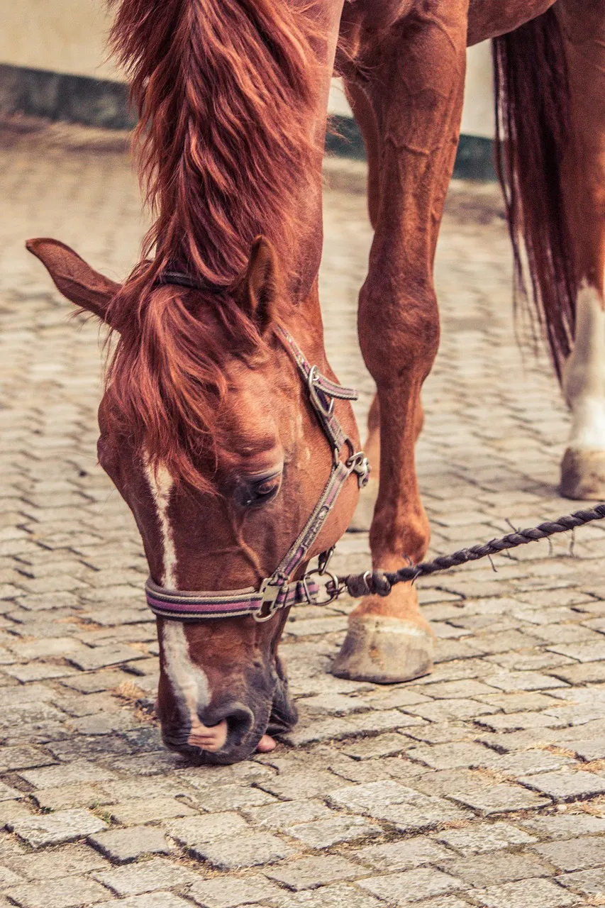 2026년새해인사말