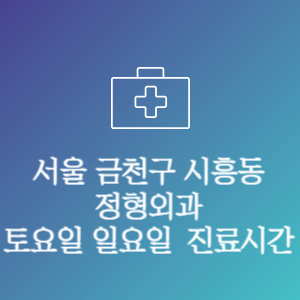 서울 금천구 시흥동 정형외과 주말 토요일 일요일 문여는 병원 진료시간