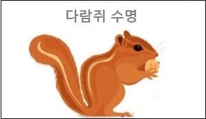 다람쥐 수명