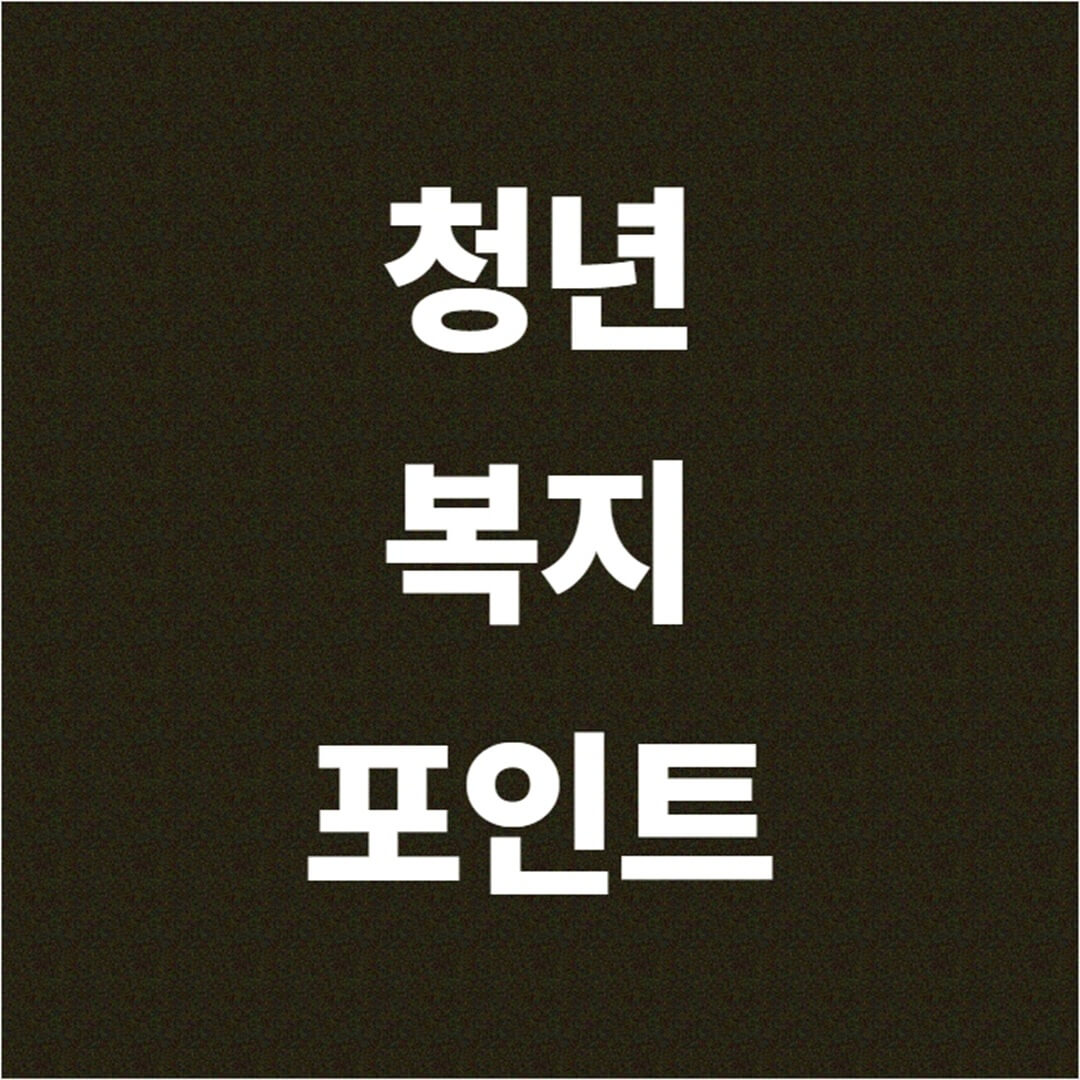 청년복지포인트 신청 방법 신청 조건