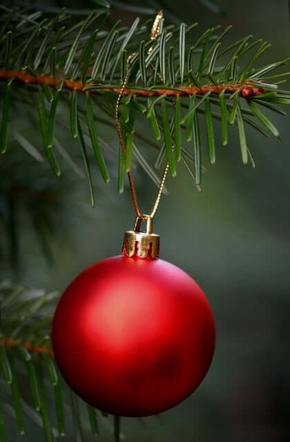 11월 14일 실시간 오퀴즈 정답 오케이캐쉬백