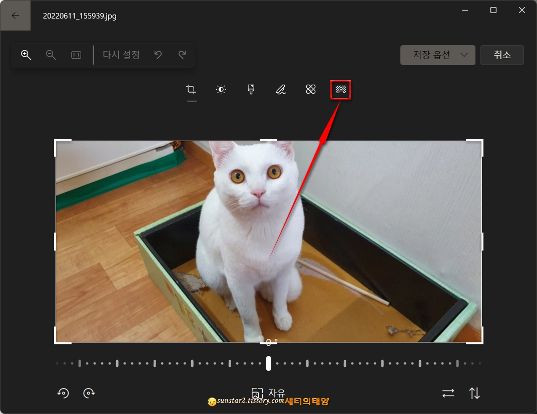 윈도우11_사진앱으로배경을_제거하거나_흐리게처리하기_7
