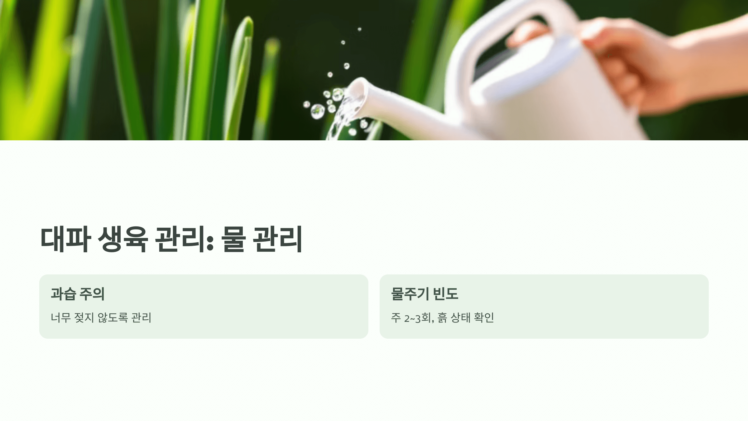 대파 사진입니다.