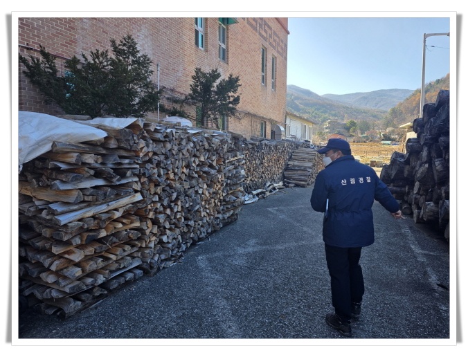 태백국유림관리소, 소나무류 무단 이동 특별단속…재선충병 확산 차단 총력