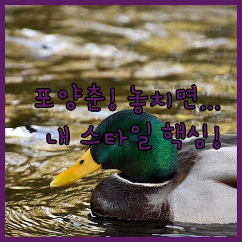 포천 양주 춘천 인기 숙소 7곳 내 ..