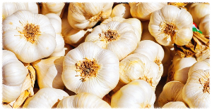 마늘 효능10가지 이런 효과까지 있다고?