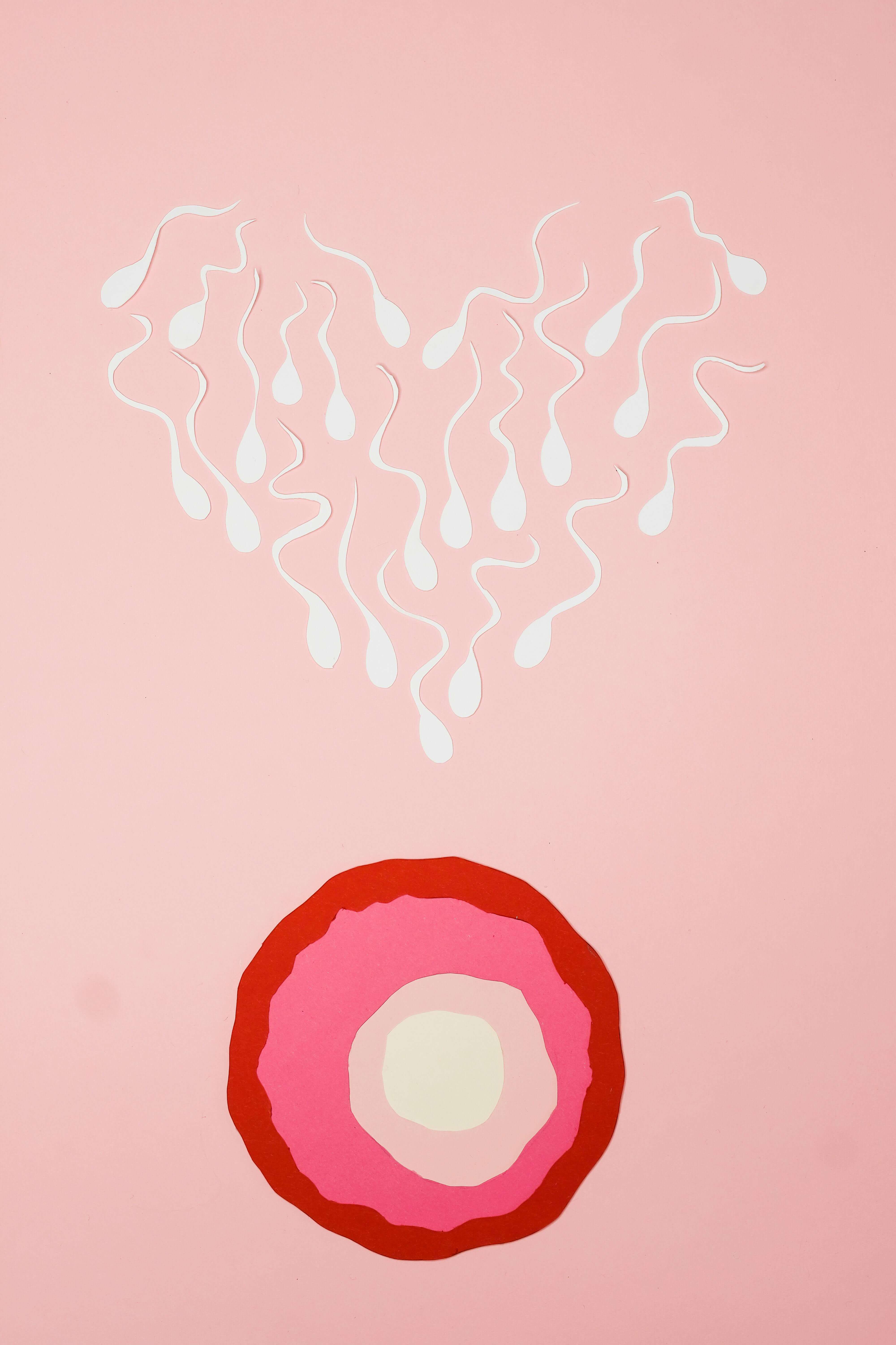 계절 변화 호르몬 변화가 건강에 미치는 영향 완벽 분석