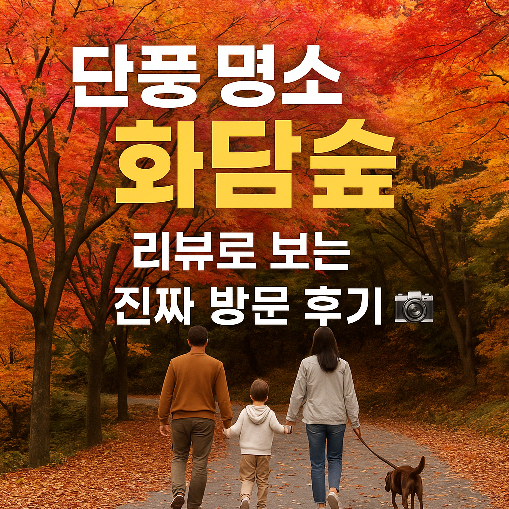 단풍 명소 화담숲, 리뷰로 보는 진짜 방문 후기📸(2025최신)