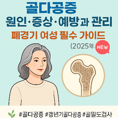 골다공증 원인&middot;증상&middot;예방과 관리｜폐경기 여성 필수 가이드 (2025년 최신)