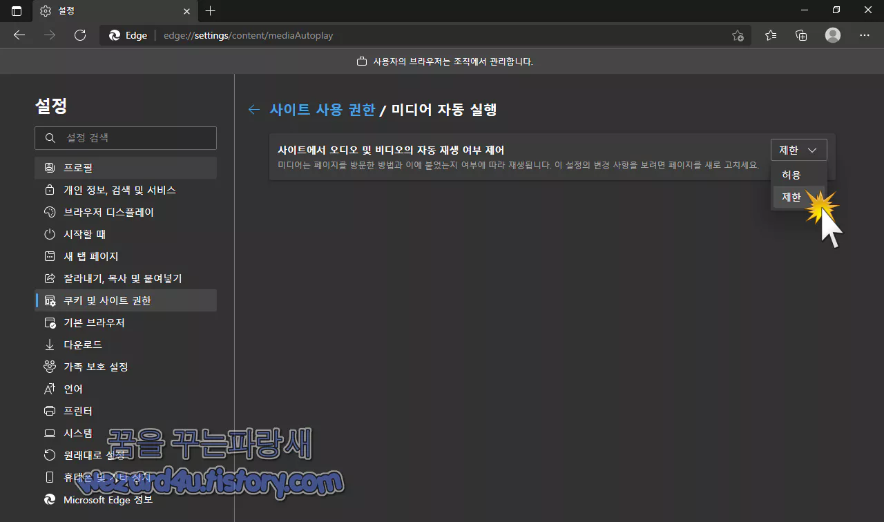 마이크로소프트 엣지 Microsoft Edge 모든 미디어 자동 재생 중단