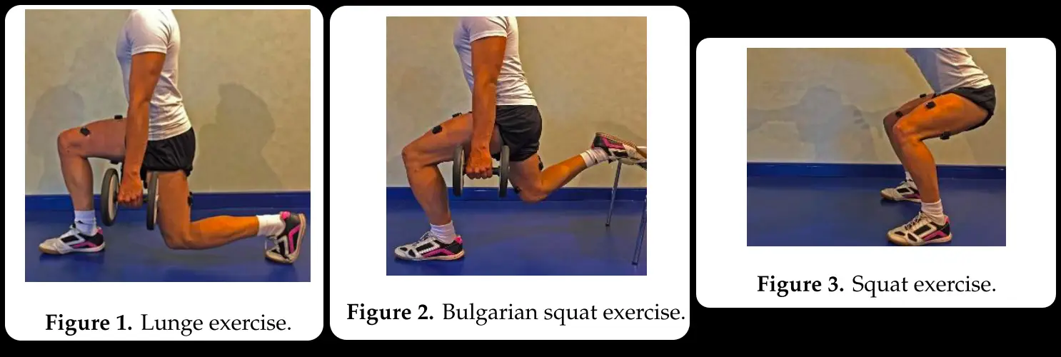 불가리안 스쿼트(bulgarian squat), 런지(lunge), 스쿼트(squat)