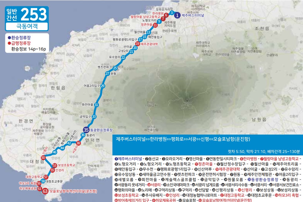 제주도 버스노선 - 일반간선버스201, 202, 일반간선버스211, 212, 일반간선버스221, 222, 일반간선버스231, 일반간선버스232, 일반간선버스240, 일반간선버스251, 252, 253, 254, 255, 일반간선버스260, 일반간선버스270, 일반간선버스281, 282, 일반간선버스291, 292, 295