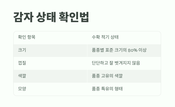 감자 수확시기 타이밍과 방법 9