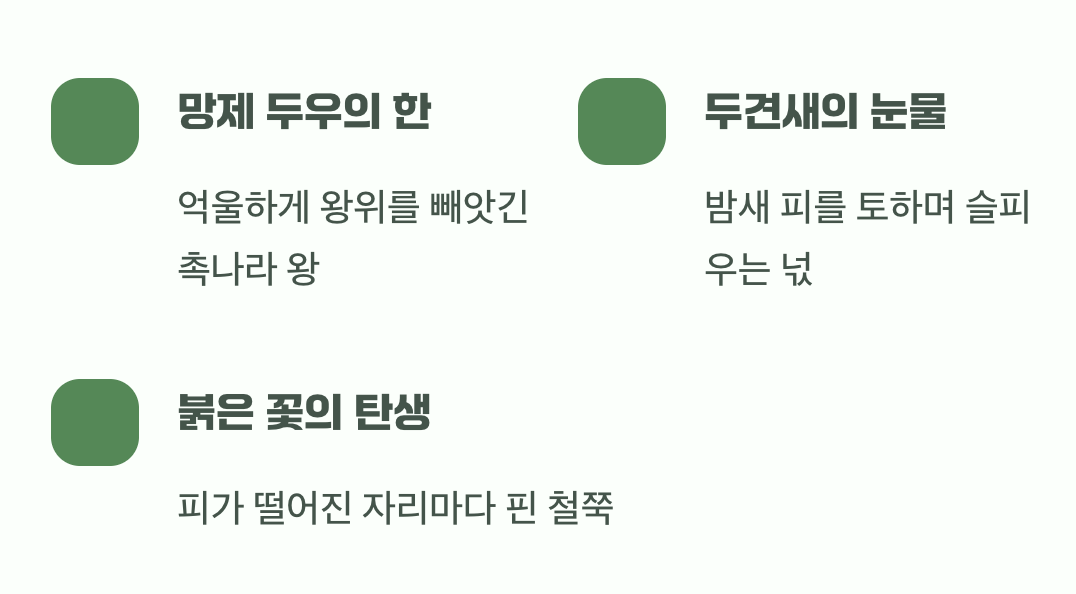 슬픈 전설 속에 피어난 붉은 마음