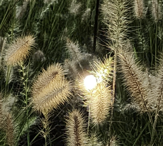 Alt 속성 문제 해결 설명 이미지