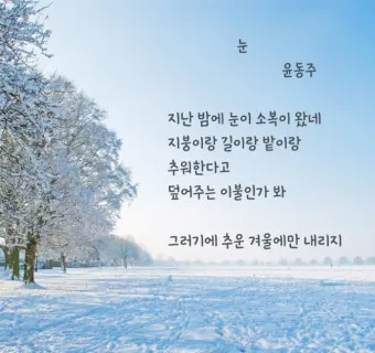 죽는 날까지 하늘을 우러러 한 점 부끄럼이 없기를 윤동주 시 세계_3