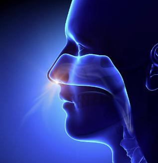 알레르기 비염 원인, 증상, 좋은 음식 소개