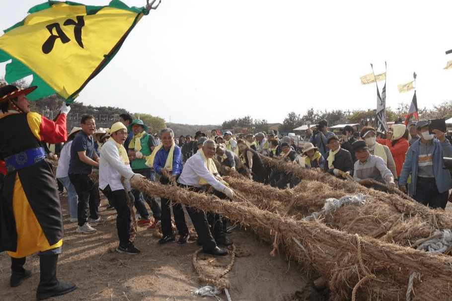 2025 기지시줄다리기축제: 500년 전통의 거대한 협동 문화