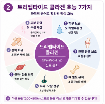 트리펩타이드-콜라겐-효능-부작용-추천-제품-비교-가격