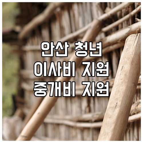 2025년 안산시 청년 지원 정책, ..