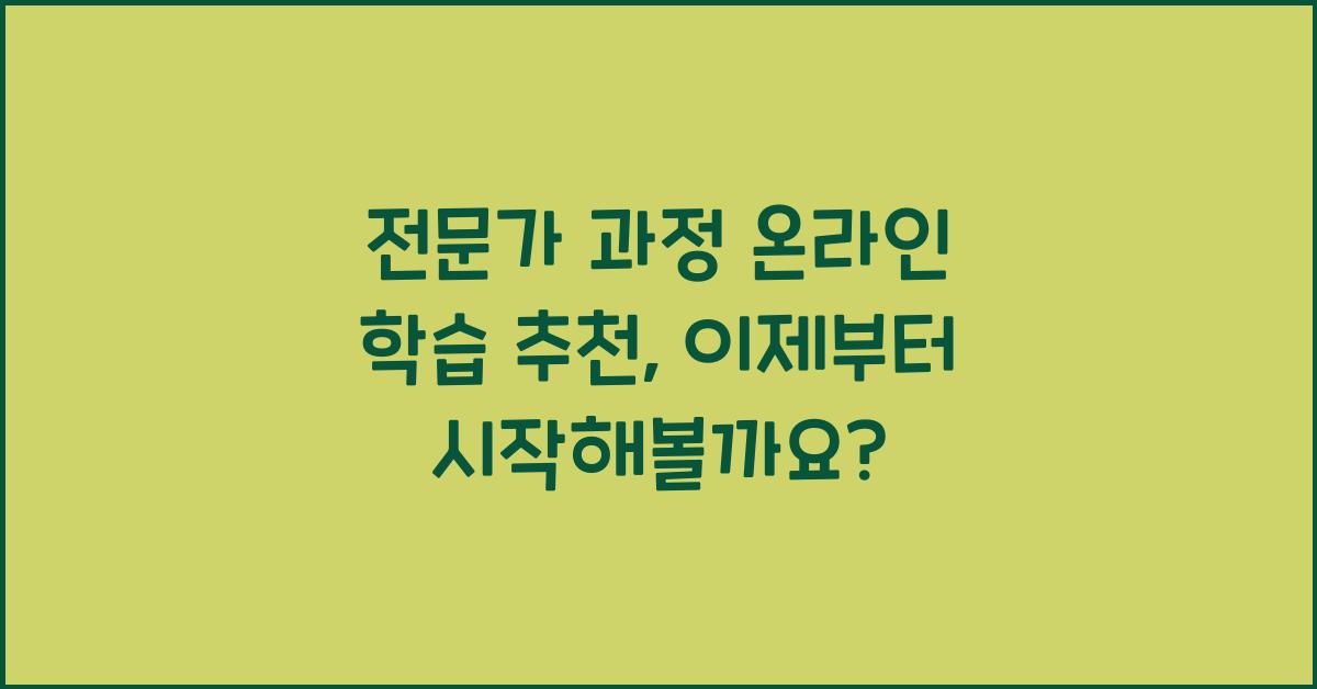 전문가 과정 온라인 학습 추천