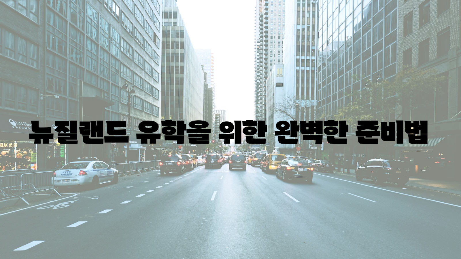 뉴질랜드, 유학, 준비법