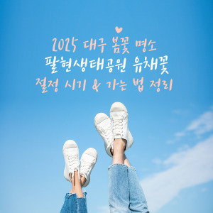 팔현생태공원 유채꽃 절정 시기