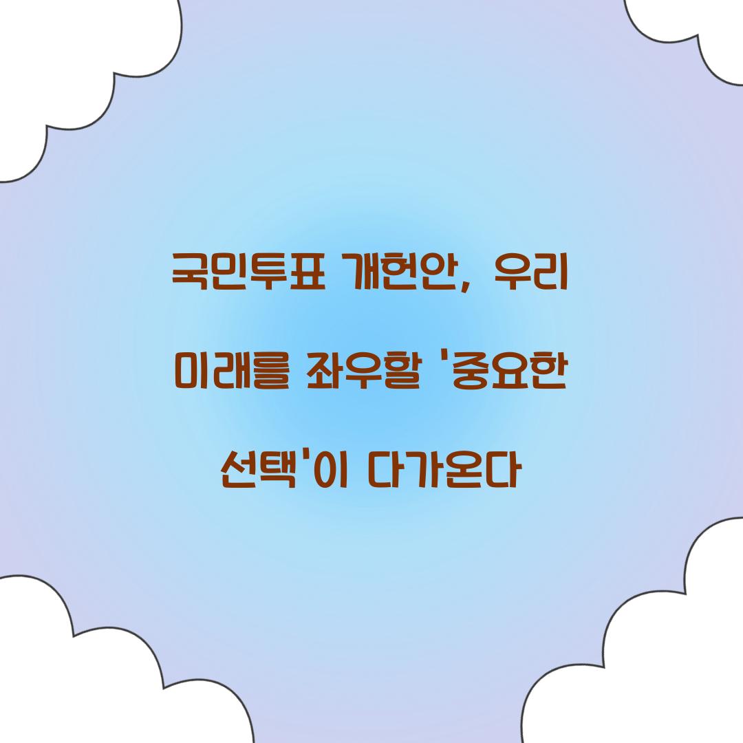 국민투표 개헌안