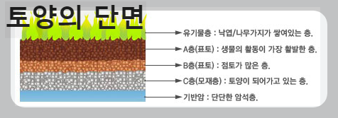 토양의 단면