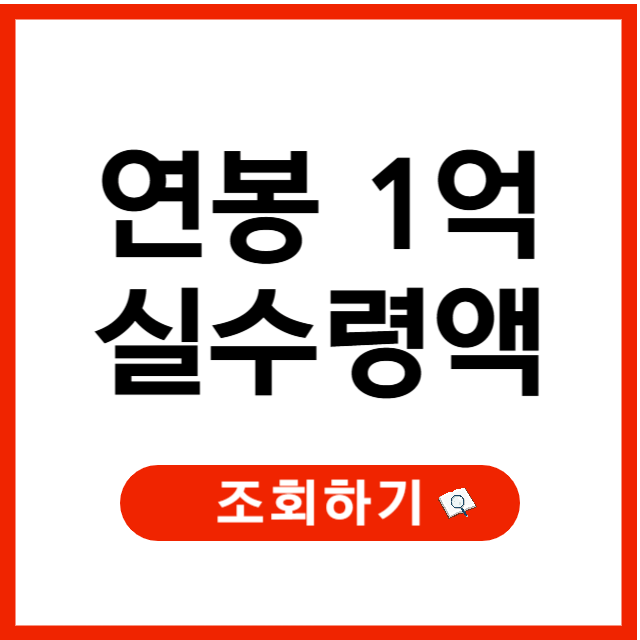 연봉 1억 실수령액, 연봉 실수령액 계산기