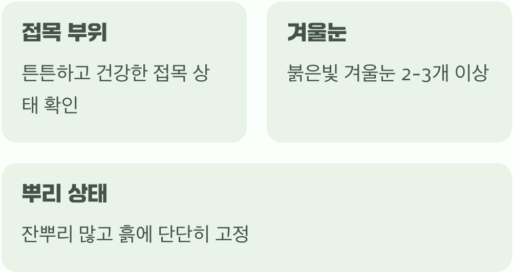 1. 첫 만남, 좋은 '왕재' 알아보기