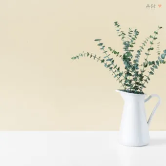 화분 잎마름 원인 햇빛부족 건조 과습 진단 맞춤 처방 가이드_29