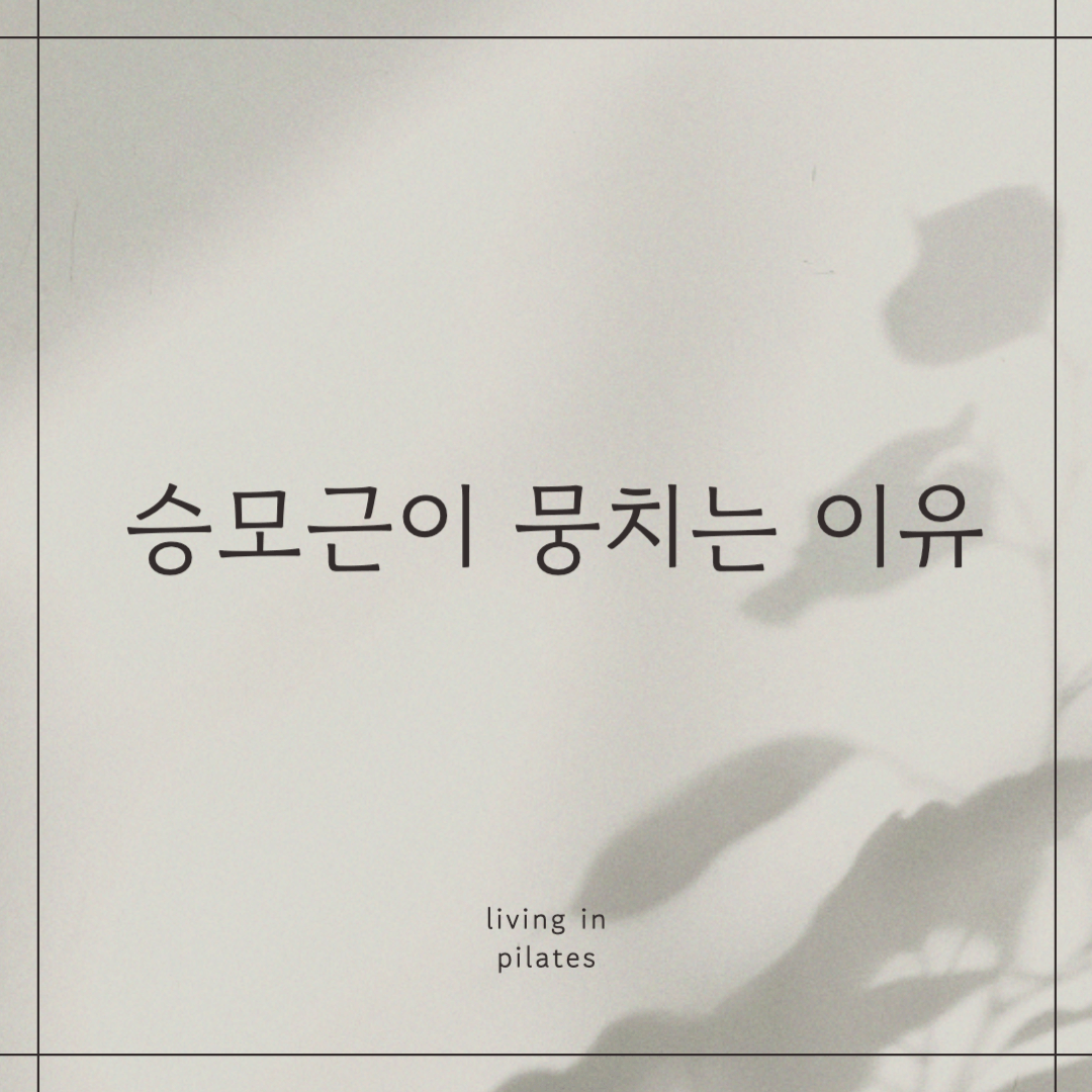 승모근이 뭉치는 이유!