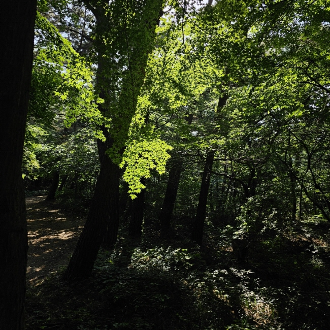 서산-팔봉산