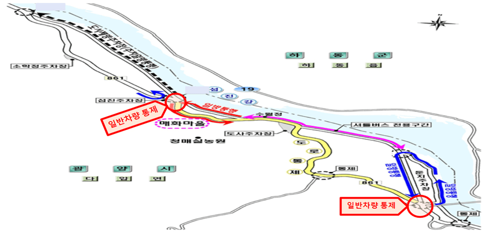 전라남도 광양 매화축제 벚꽃여행 일정 입장료 주차장