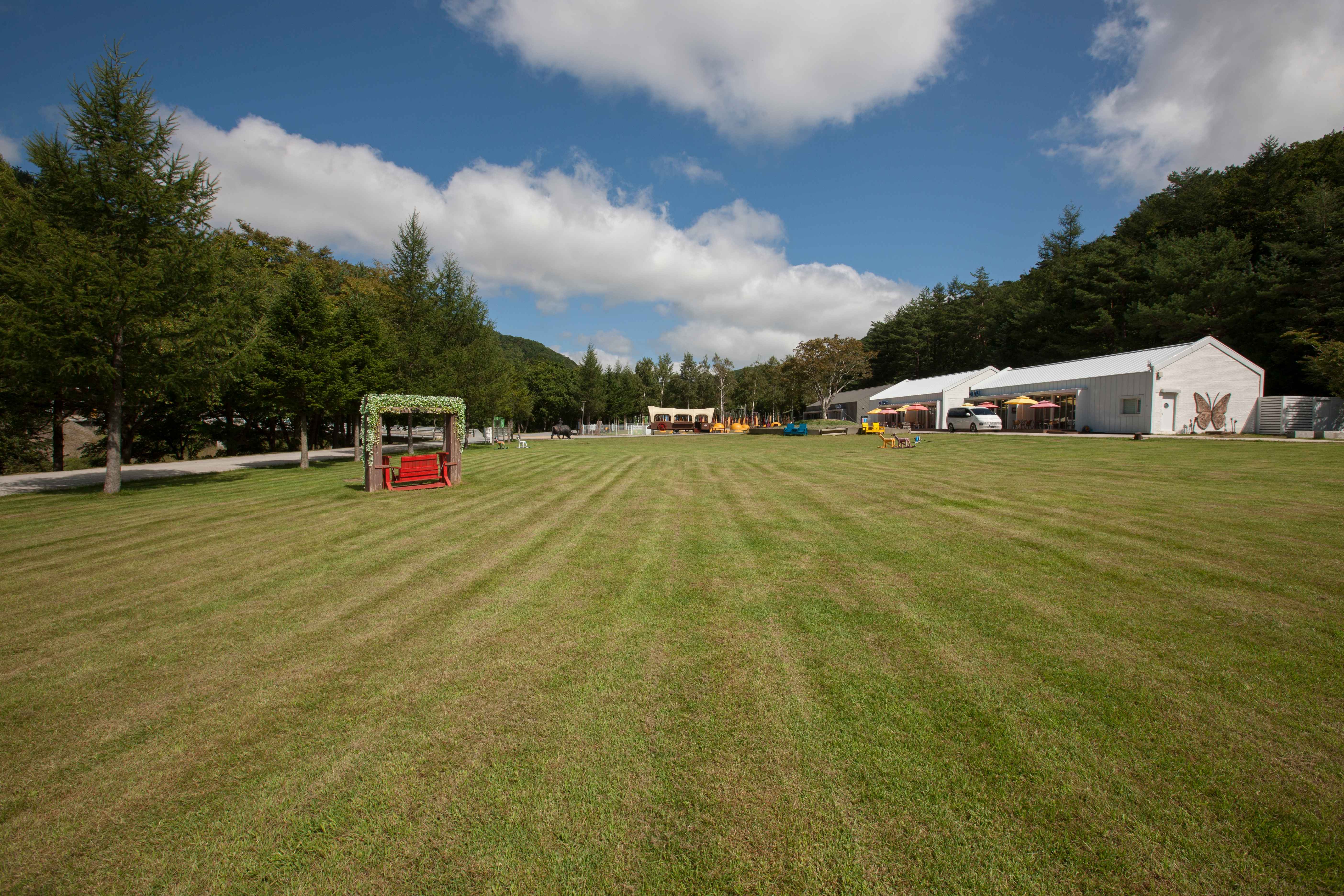 대관령 하늘목장 사진