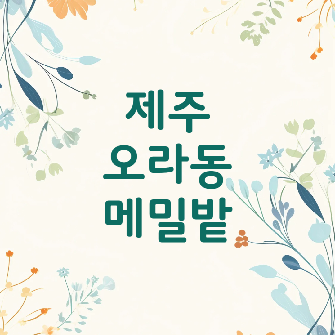 제주 오라동 메밀밭