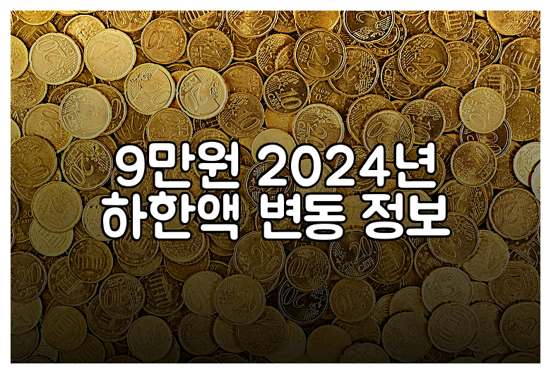 9만원 2024년 하한액 변동 정보