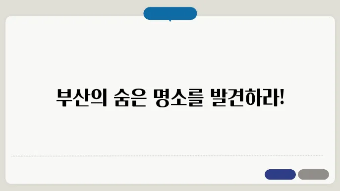 부산 자연 체험