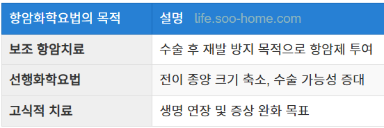 항암화학요법의 목적과 효과