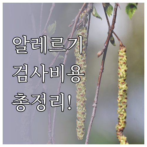 알레르기 검사 종류 및 비용 총정리 ..