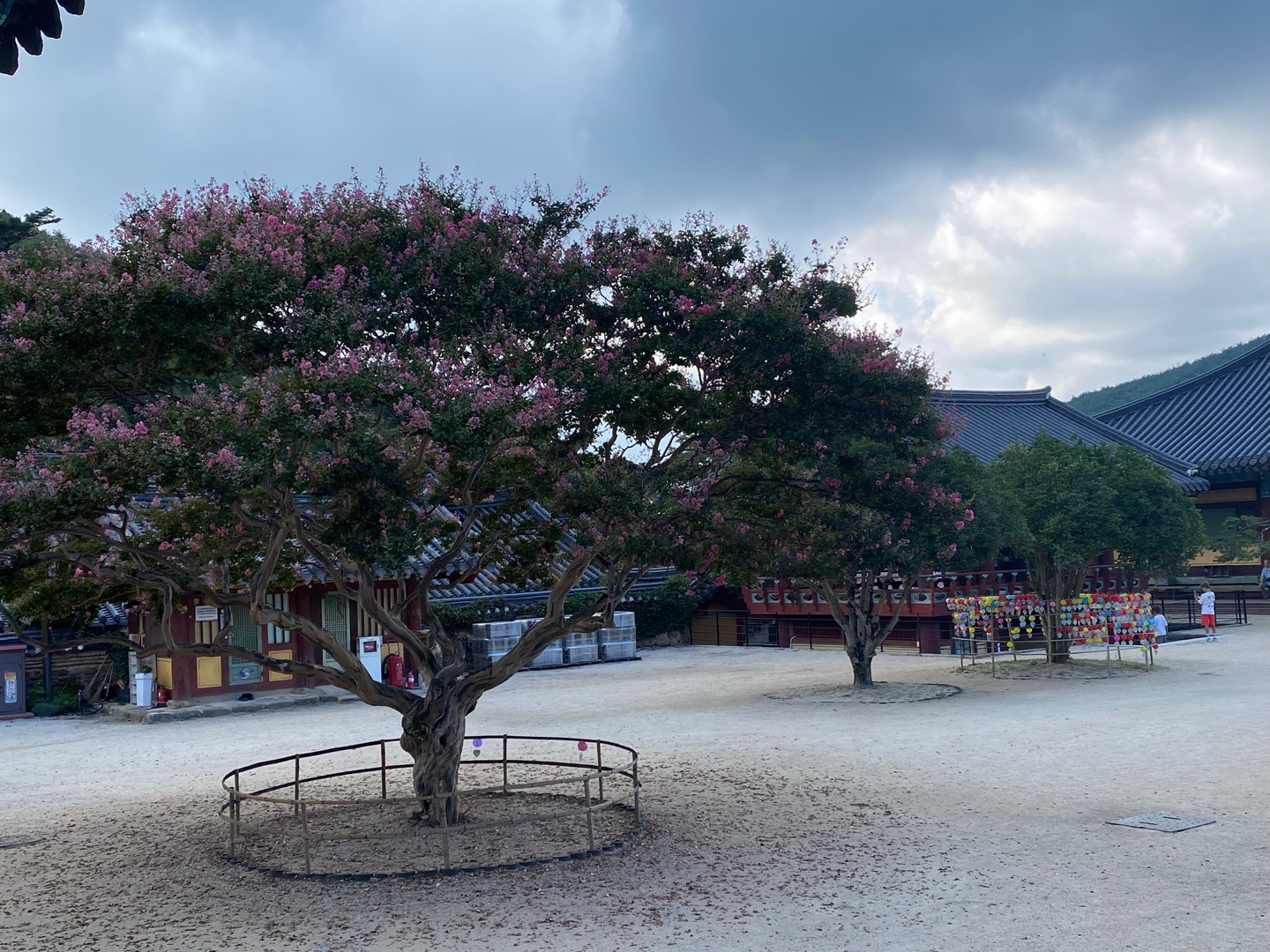 전남 순천 송광사