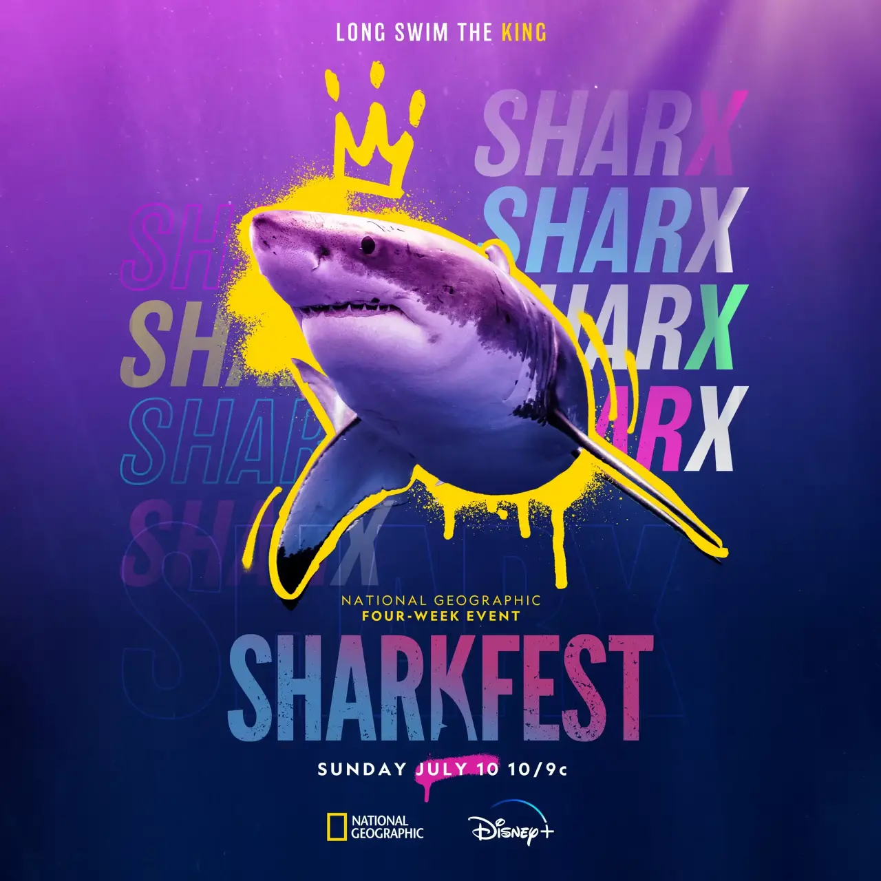샤크페스트(SharkFest)