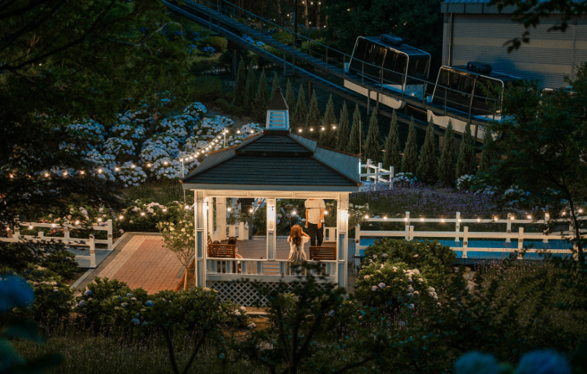 장생포수국페스티벌