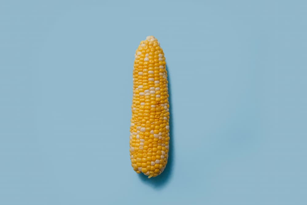생옥수수로 만든 달콤한 옥수수전
