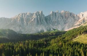 농어촌기본소득 지역 신청방법 사용처